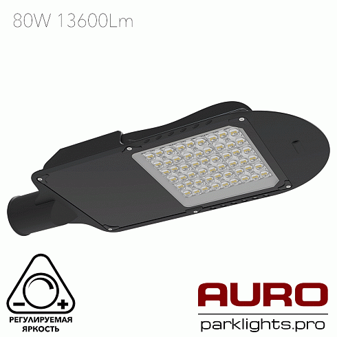 Уличный светодиодный светильник AURO-STREET-C1-80