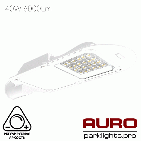 Уличный светодиодный светильник AURO-STREET-C1-40