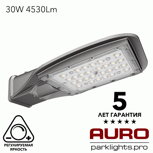 Уличный светодиодный светильник AURO-STREET-C2-30
