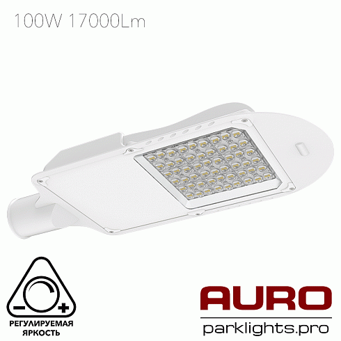 Уличный светодиодный светильник AURO-STREET-C1-100