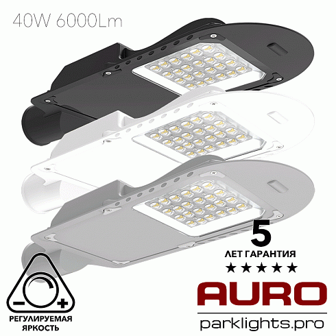Уличный светодиодный светильник AURO-STREET-C1-40