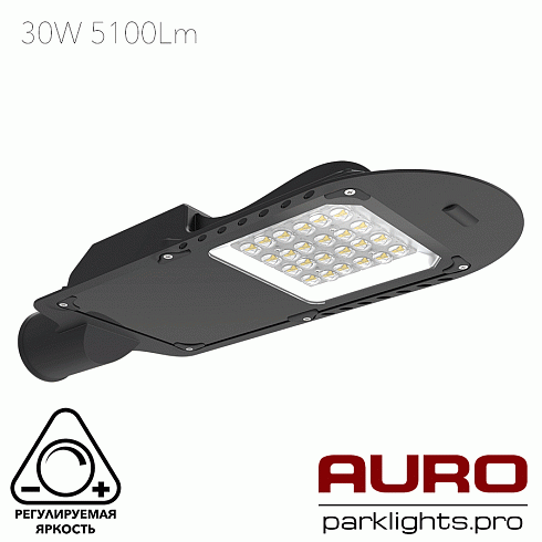 Уличный светодиодный светильник AURO-STREET-C1-30