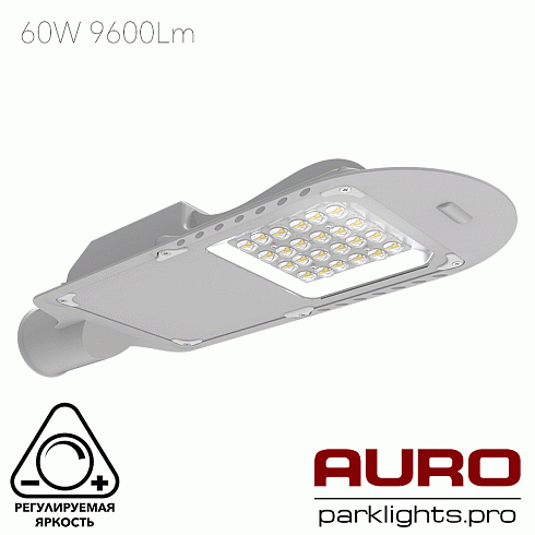 Уличный светодиодный светильник AURO-STREET-C1-60