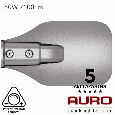 Уличный светодиодный светильник AURO-STREET-C2-50