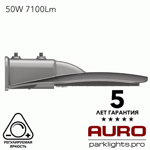 Уличный светодиодный светильник AURO-STREET-C2-50
