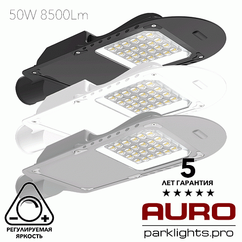 Уличный светодиодный светильник AURO-STREET-C1-50