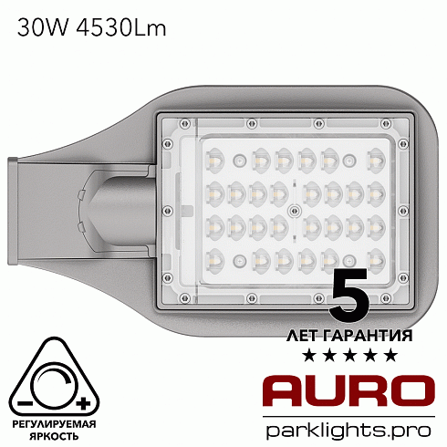 Уличный светодиодный светильник AURO-STREET-C2-30